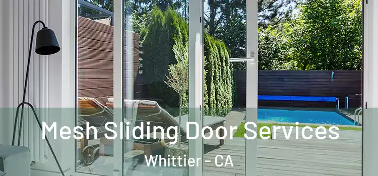 Mesh Sliding Door Services Whittier - CA