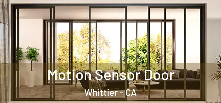 Motion Sensor Door Whittier - CA